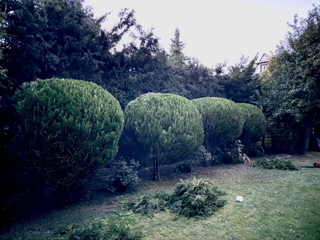 Realizacja Solar Garden 2